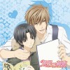 Toalhas de Sekai-Ichi Hatsukoi