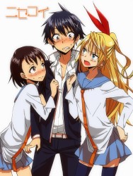 nisekoi shaft anime