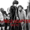 Segundo OVA de Wild Adapter sairá em Setembro!