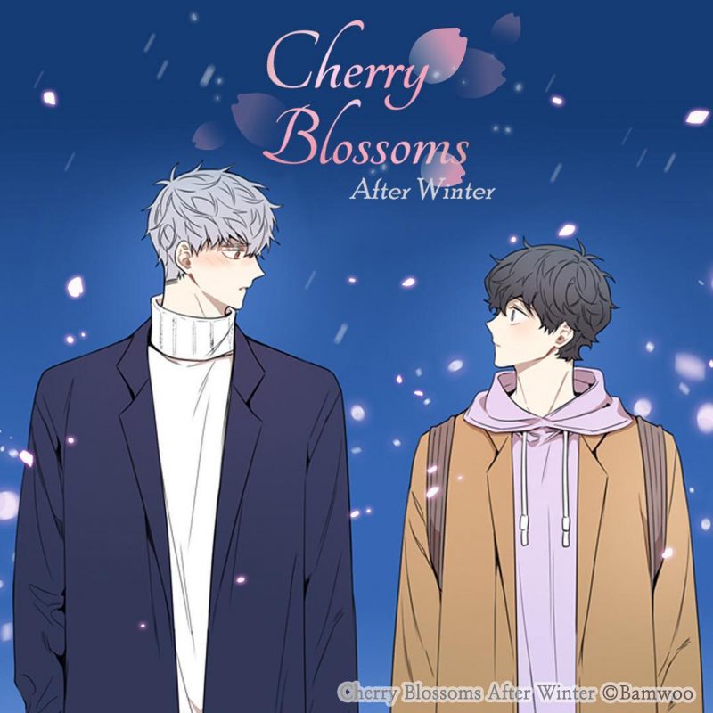 Cherry Blossoms after Winter, de Bamwoo – Blyme Yaoi