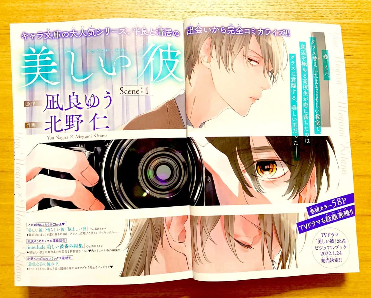 Utsukushii Kare Novel English Translation Pdf Utsukushii Kare ganha mangá – Blyme Yaoi